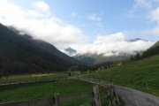 IMG_0008