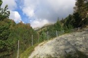 IMG_0017