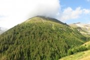 IMG_0030