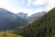 IMG_0031
