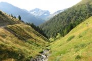 IMG_0042
