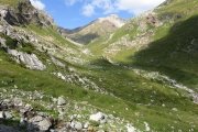 IMG_0061