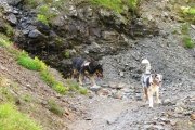 IMG_0073