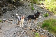 IMG_0075