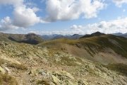IMG_0194
