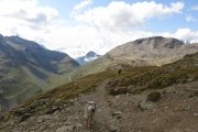 IMG_0201