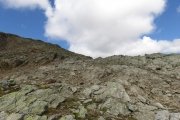 IMG_0239