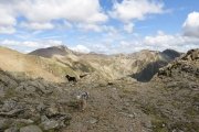 IMG_0242