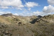 IMG_0244