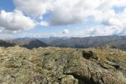 IMG_0246