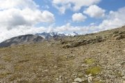 IMG_0278