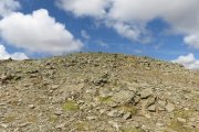IMG_0279