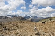 IMG_0326