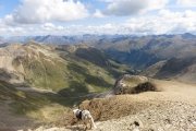 IMG_0374