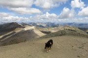 IMG_0385