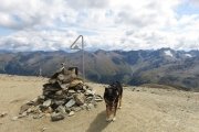IMG_0390