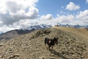 IMG_0430
