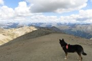 IMG_0538