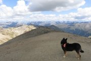 IMG_0539