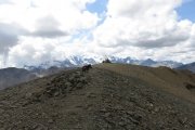IMG_0579