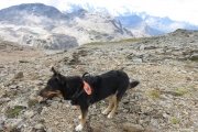IMG_0607