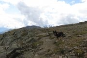 IMG_0613