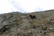 IMG_0614