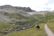 IMG_0642