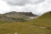 IMG_0660