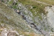 IMG_0665