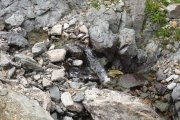 IMG_0667