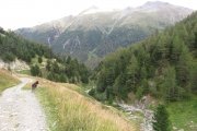 IMG_0685