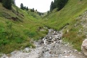 IMG_0686