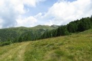IMG_0011