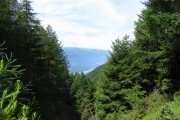 IMG_0013