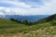 IMG_0014