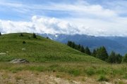 IMG_0016