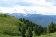 IMG_0021