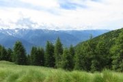 IMG_0025