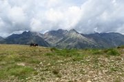 IMG_0063