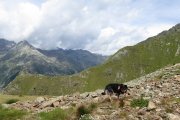 IMG_0065