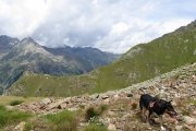 IMG_0066