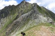 IMG_0121