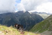 IMG_0131