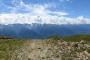 IMG_0233