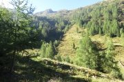 IMG_0003