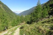 IMG_0005