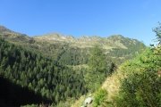 IMG_0009