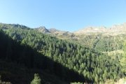 IMG_0012