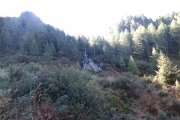 IMG_0014
